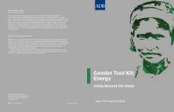 Gender Tool Kit: Energy: Going Beyond the Meter