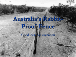 Australia`s Rabbit