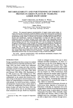 Metabolizability and Partitioning of Energy and Protein in Green