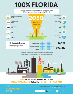 100% florida - Solutions Project