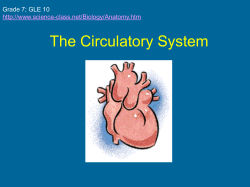 The Circulatory System - Livingstone High School