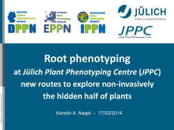 Root phenotyping