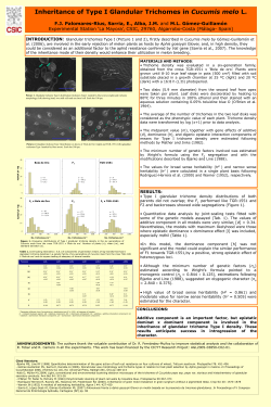 Presentaci&oacute;n de PowerPoint