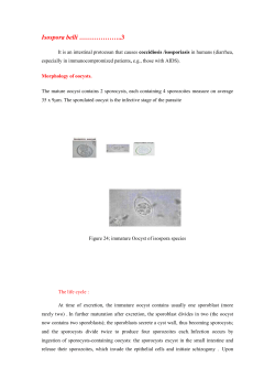 Sarcocystis species ………………….4