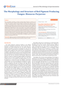 The Morphology and Structure of Red Pigment