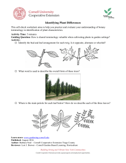 Identifying Plant Differences Self