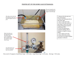 proper set up for home