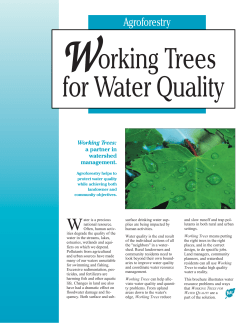 Agroforestry - City of Davenport