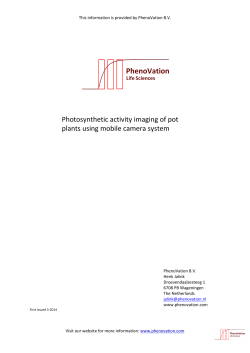 Photosynthetic activity imaging of pot plants using