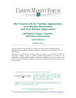 The Framework for Various Approaches, New Market Mechanism