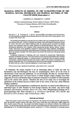 SEASONAL EFFECTS OF FEEDING ON THE ULTRASTRUCTURE