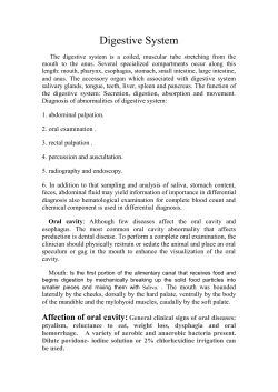 Oral cavity