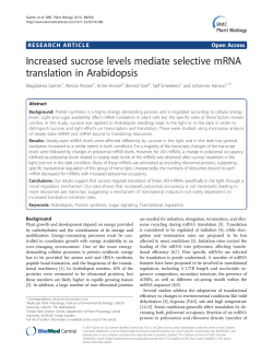 Increased sucrose levels mediate selective mRNA translation in