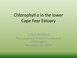 Chlorophyll a in the lower Cape Fear