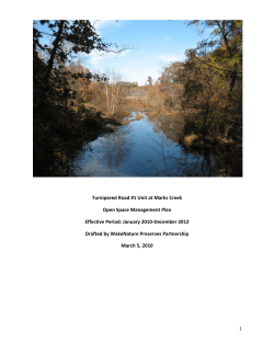 are treated separately. At the time of this report