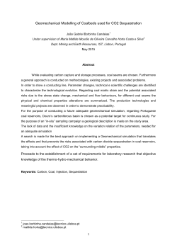 Geomechanical Modelling of Coalbeds used for CO2 Sequestration