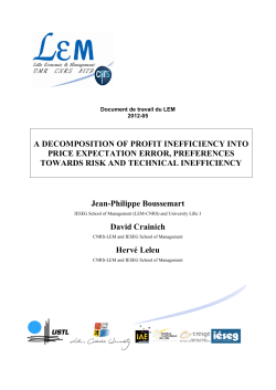 A DECOMPOSITION OF PROFIT INEFFICIENCY INTO - LEM-CNRS