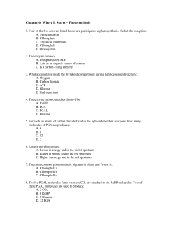 File - Principles of Biology 103
