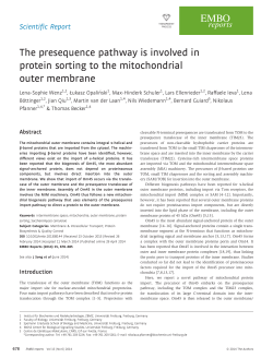 The presequence pathway is involved in protein sorting to the