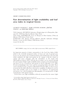 Fast determination of light availability and leaf area index in tropical