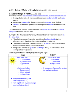 9.2 Gas Exchange in Plants