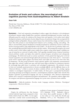 Evolution of brain and culture: the neurological and cognitive