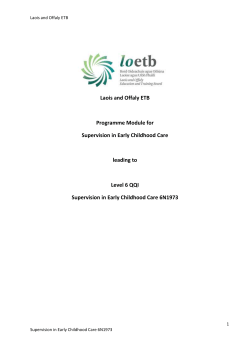 Laois and Offaly ETB Laois and Offaly ETB Programme Module for