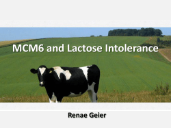 MCM6 and Lactose Intolerance