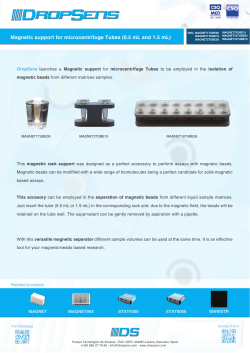 Magnetic support for microcentrifuge Tubes (0.5 mL and