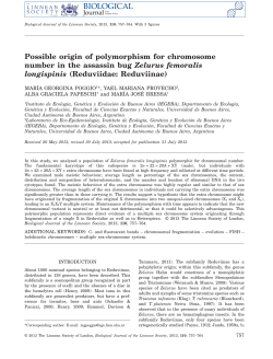 Possible origin of polymorphism for chromosome number in the