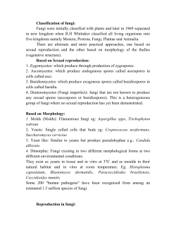 Classification of fungi
