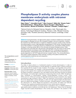 Phospholipase D activity couples plasma membrane endocytosis
