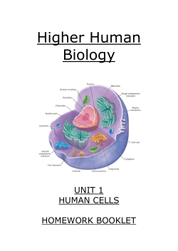 Higher Human Biology UNIT 1 HUMAN CELLS HOMEWORK