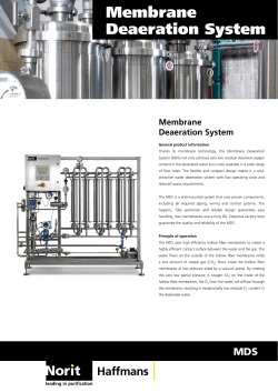 Membrane Deaeration System