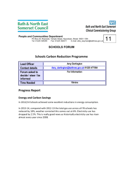 11.0 Energy efficiency project