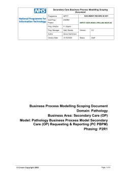 BPM Scoping Document Template