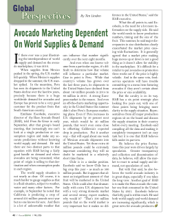 Avocado Marketing Dependent On World Supplies and Demand