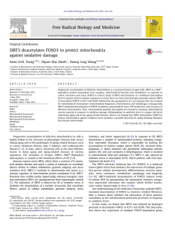 SIRT3 deacetylates FOXO3 to protect mitochondria against oxidative