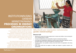 institutionalising gender mainstreaming processes in energy