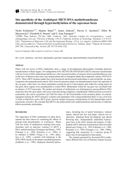 Site specificity of the Arabidopsis METI DNA methyltransferase
