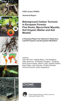 Belowground Carbon Turnover in European Forests: Fine Roots