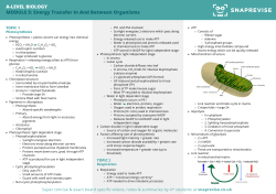 Energy Transfer In And Between Organisms A-LEVEL