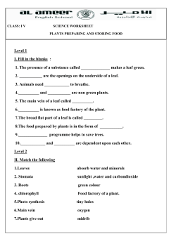 Level 1 I. Fill in the blanks : 1. The presence of a substance called