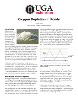 Oxygen Depletion in Ponds - Soil, Water and Forage Testing