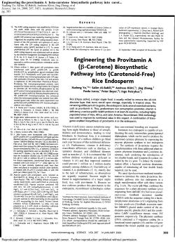 Engineering the provitamin A beta-carotene biosynthetic pathway