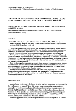 A REVIEW OF INSECT PREVALENCE IN MAIZE (ZEA MA YS L