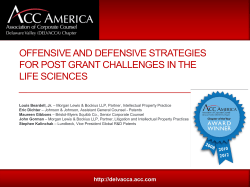 offensive and defensive strategies for post grant challenges in the