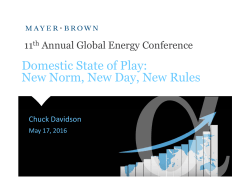 11th Annual Global Energy Conference | Domestic State of Play