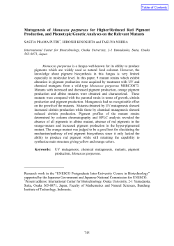 Mutagenesis of Monascus purpureus for Higher/Reduced Red