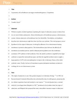 Asymmetric cell-cell adhesion can trigger mitochondriogenesis